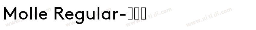Molle Regular字体转换